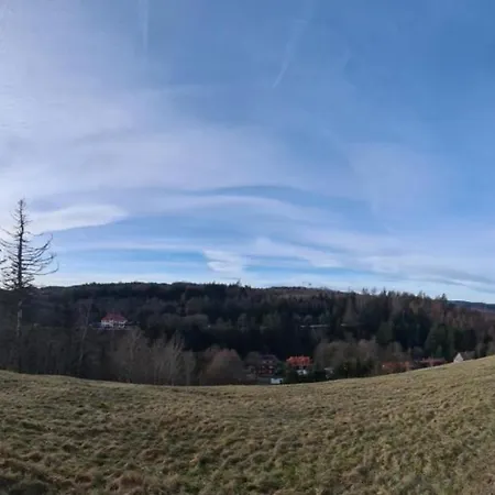 Lejlighed Neu Fewo Jola Altenau (Lower-Saxony)