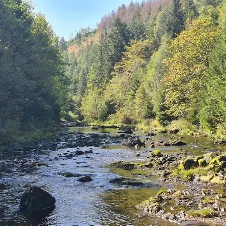 Lejlighed Neu Fewo Jola Altenau (Lower-Saxony)